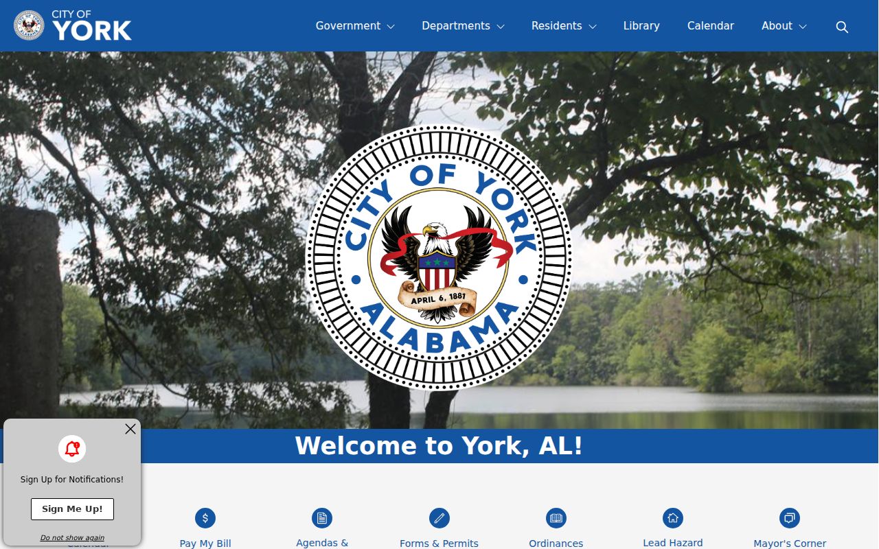 York criminal history City Hall contact page